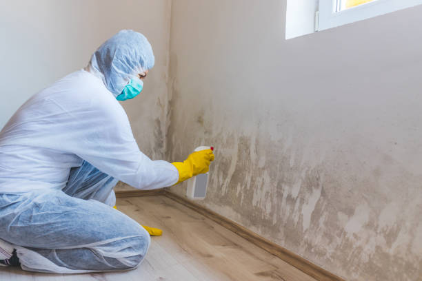 Licensed Mold Removal service in Dickerson, MD - WQB Mold Removal