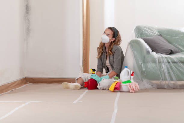 Reliable Mold Removal contractor in Dickerson, MD by WQB Mold Removal